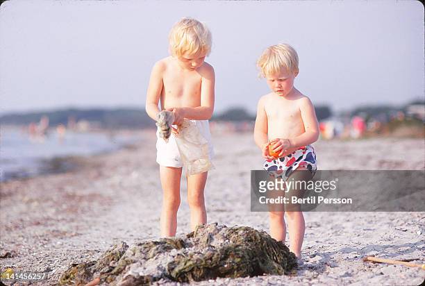two blonde children collecting seaweed on beach - 1967 stock pictures, royalty-free photos & images