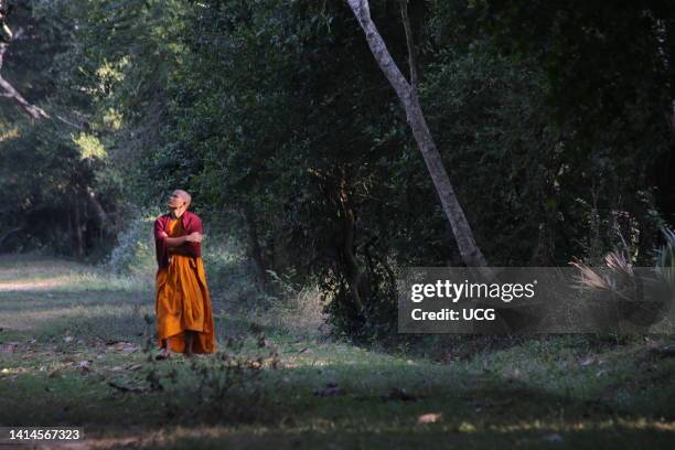 Cambodia. Cambodian monk walking in the forest. Cambodia.