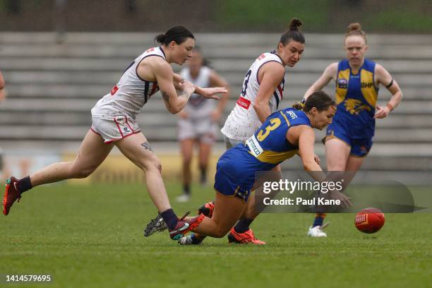 Ella Roux 50 Roxanne Smith Stock Photos, High-Res Pictures, and Images - Getty Images