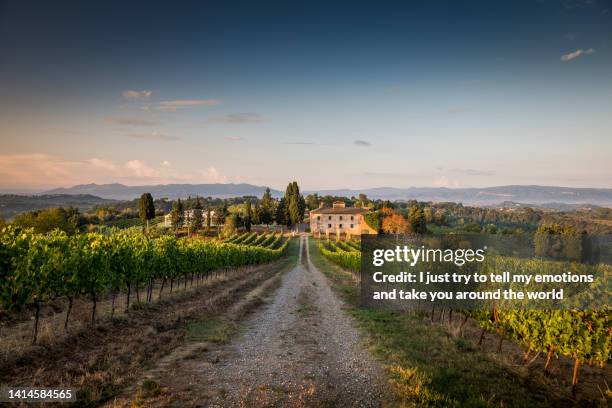 peccioli vineyard, pisa - tuscany, italy - boerenwoning stockfoto's en -beelden