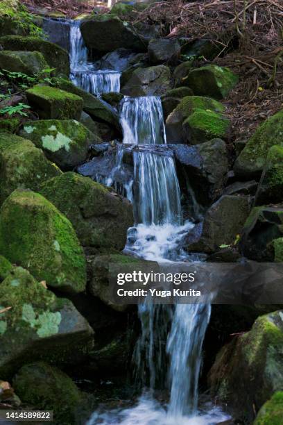 small cascading falls of a mountain stream in a forest - small waterfall stock pictures, royalty-free photos & images