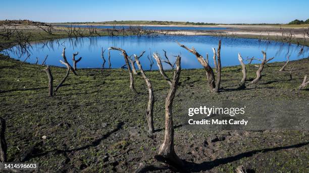 Low water levels and the dried bed are seen at Colliford Lake near Bodmin on August 12, 2022 in Cornwall, United Kingdom. Water levels at Cornwall’s...