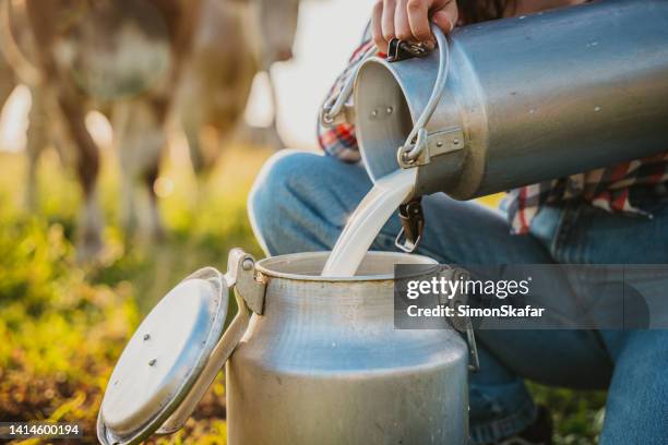 young woman pouring raw milk into container while crouching in field - trabalhador rural imagens e fotografias de stock