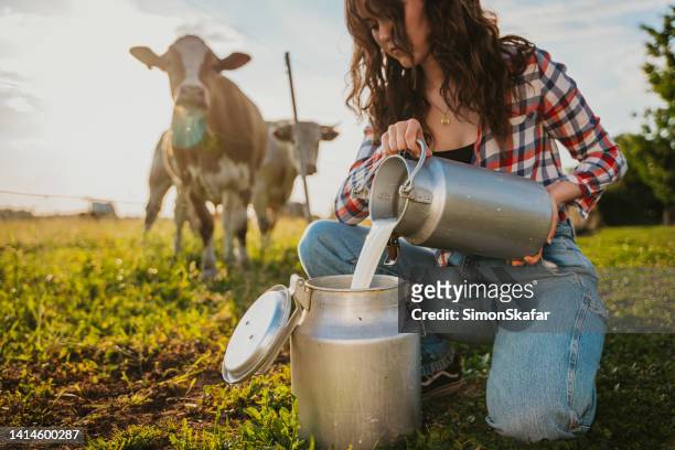 jeune femme versant du lait cru dans un récipient tout en s’accroupissant dans le champ - champs et lait photos et images de collection