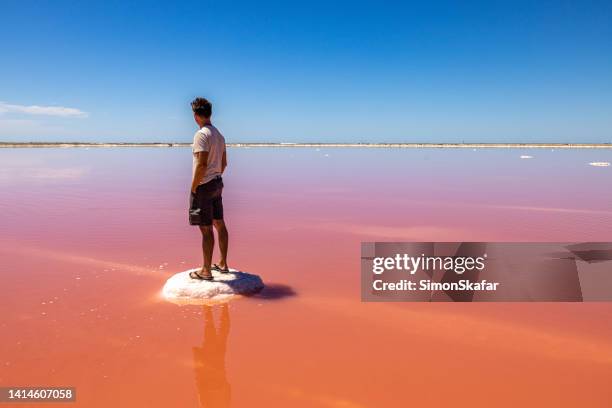 homme regardant un magnifique lac salé rose tout en se tenant sur une formation rocheuse - camargue photos et images de collection