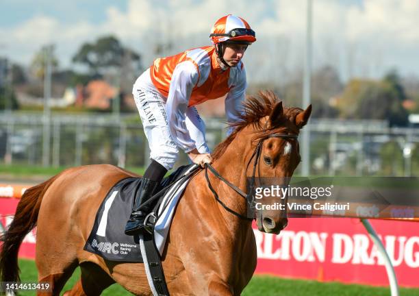 Damian Lane riding Vow and Declare to the start before finishing unplace in Race 1, the Mrc First Renewal Michael Grumley, during Melbourne Racing at...