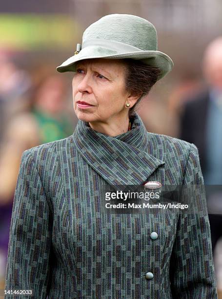 Princess Anne, The Princess Royal attends 'Gold Cup Day' on day 4 of the Cheltenham Horse Racing Festival at Cheltenham Racecourse on March 16, 2012...