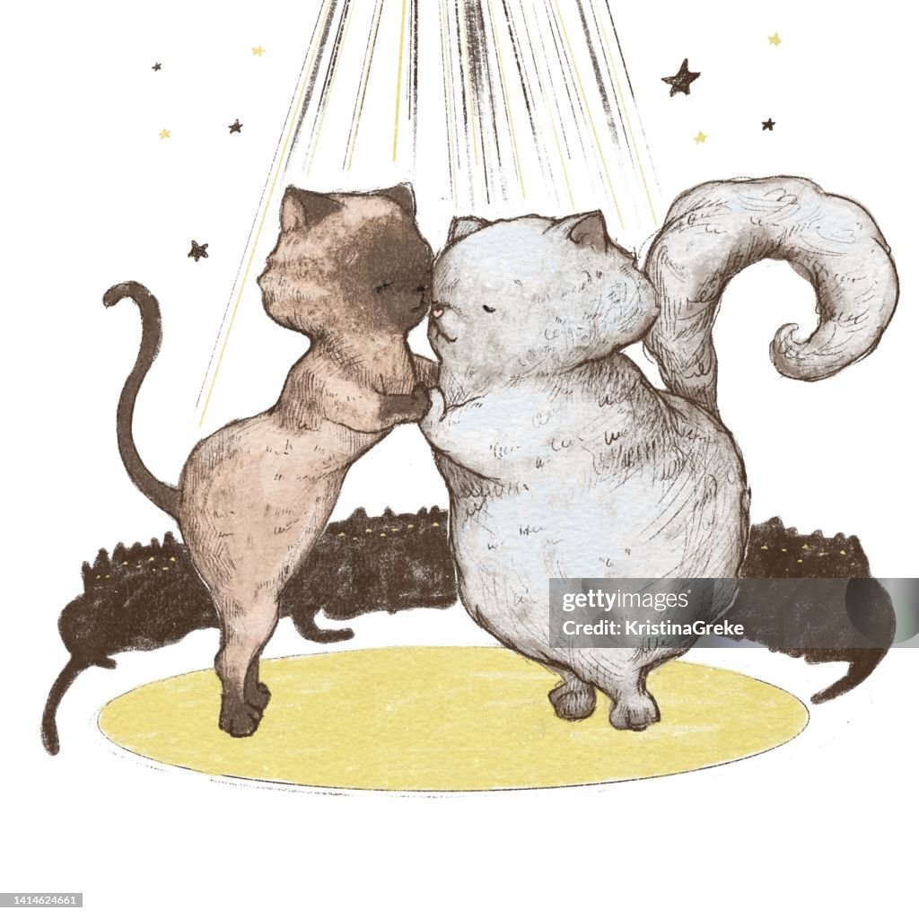 Cute cats dancing tango