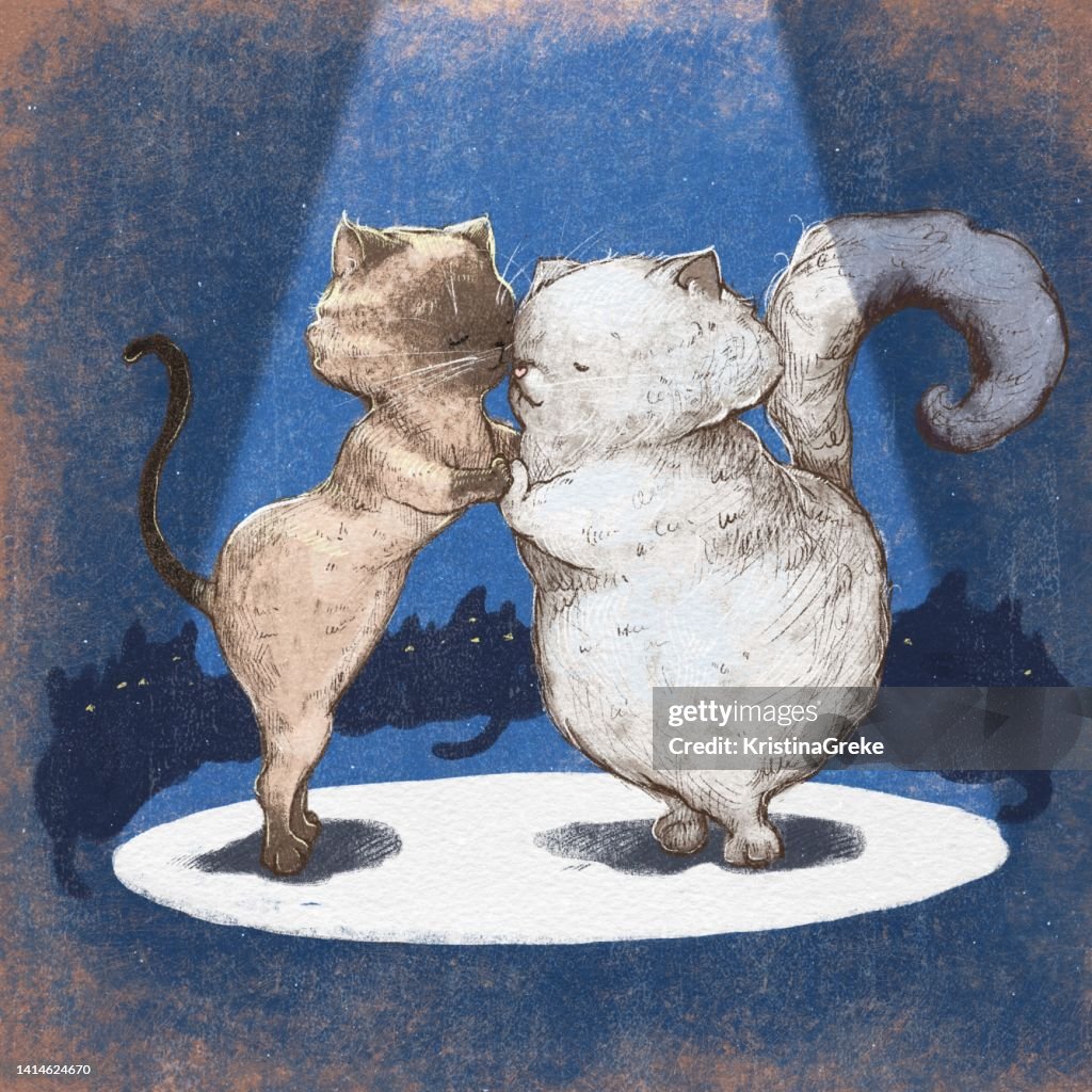 Cute cats dancing tango