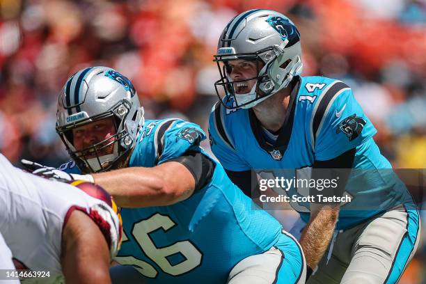 Sam Darnold and Bradley Bozeman of the Carolina Panthers scan the Washington Commanders defense before the play during the first half of the...