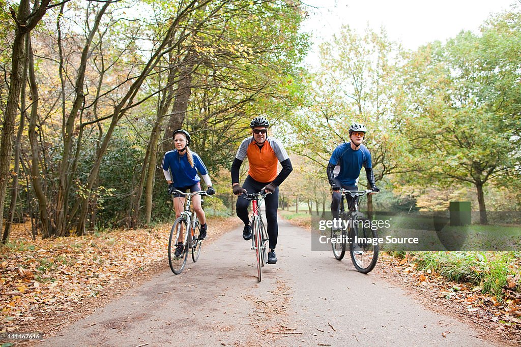 Cyclists on path in park