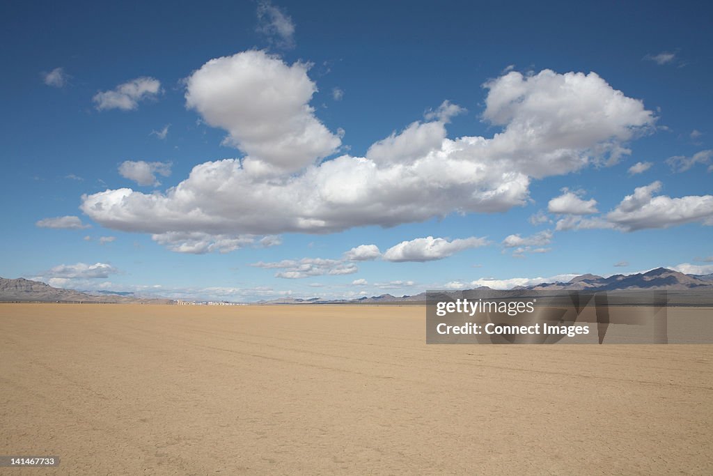 Desert landscape