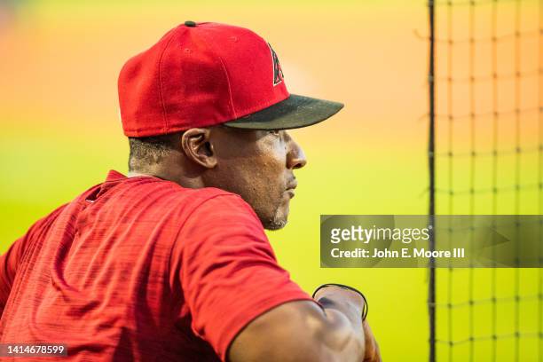 Coach Orlando Hudson of the Amarillo Sod Poodles stands in the dugout during the game against the Springfield Cardinals at HODGETOWN Stadium on...