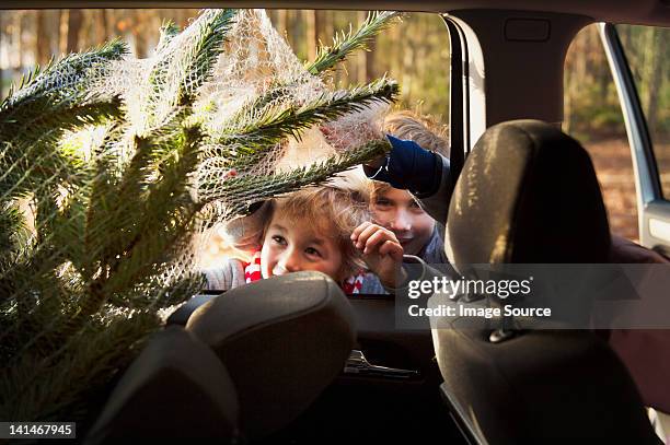 zwei jungen, die im weihnachtsbaum im auto. - party or fashion or shopping or fun winter or chrismas or xmas or chrismas tree stock-fotos und bilder