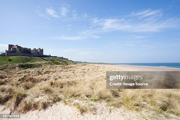 banburgh castle and beach, northumberland, uk - bamburgh stock pictures, royalty-free photos & images