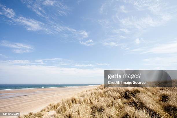 beach at bamburgh, northumberland, uk - beach view stockfoto's en -beelden