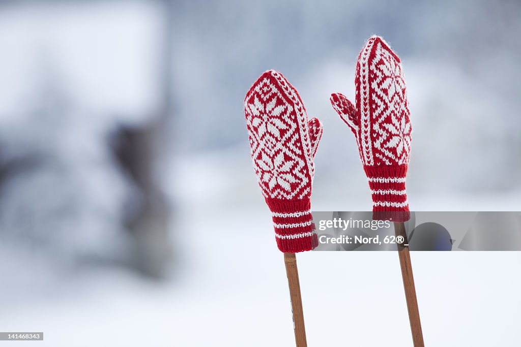 Two woolly gloves on ski poles