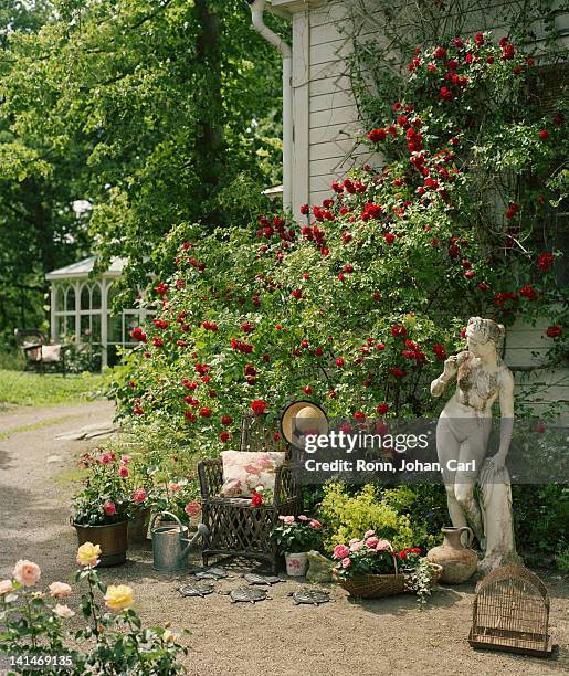 rose garden with women statue - sculpture garden stock pictures, royalty-free photos & images