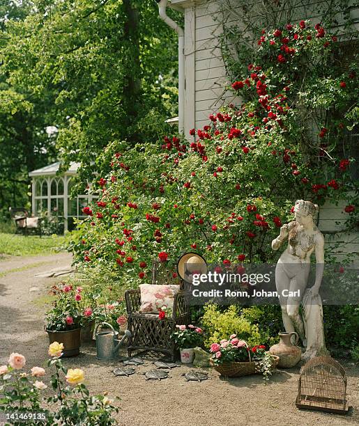 rose garden with women statue - drottningholm palace bildbanksfoton och bilder