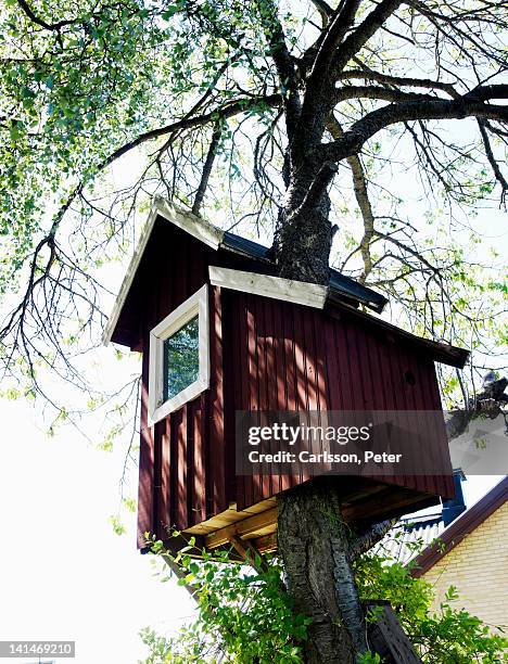 low angle view of tree house - smaland stock-fotos und bilder