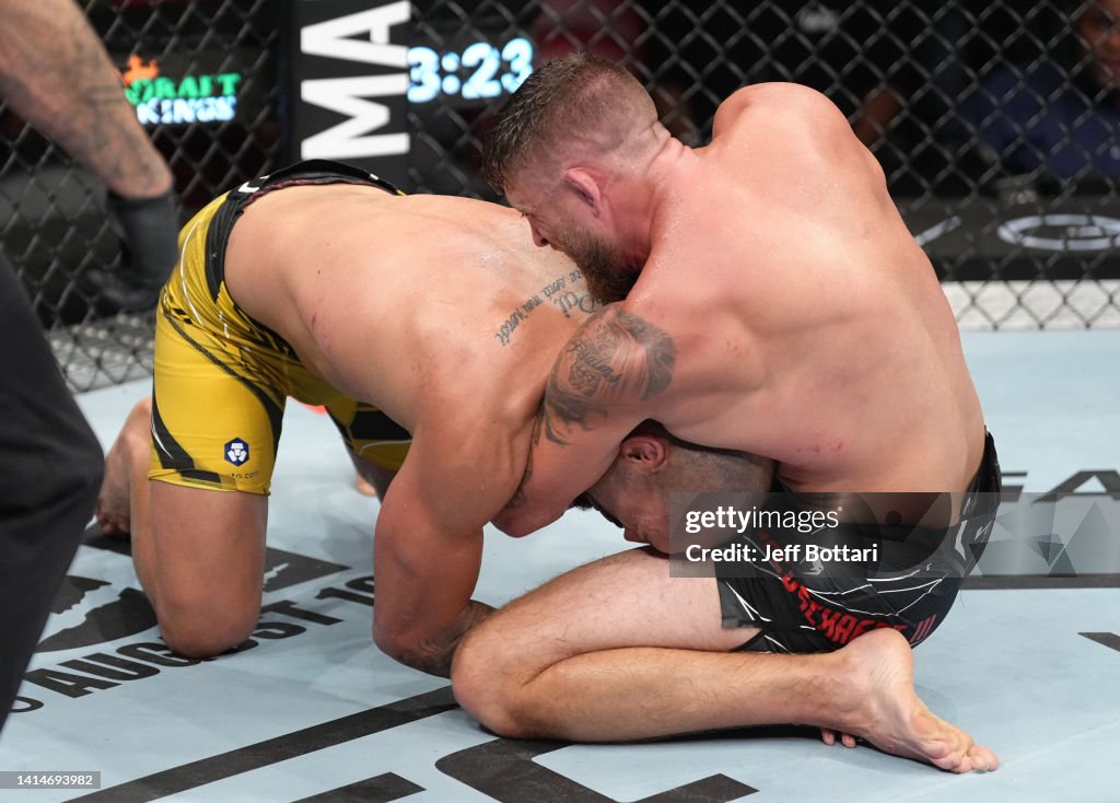 UFC Fight Night: Silva v Meerschaert