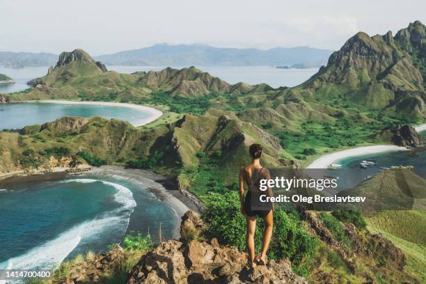 view from behind of woman on top of famous padar island in komodo national park. travel in indonesia - komodo fotografías e imágenes de stock