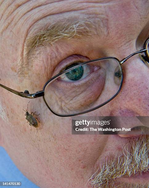 Doug Inkley 43 Stink Bugs In House Stock Photos, High-Res Pictures, and Images ...