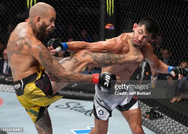 Marlon Vera of Ecuador and Dominick Cruz trade strikes in a bantamweight fight during the UFC Fight Night event at Pechanga Arena on August 13, 2022...