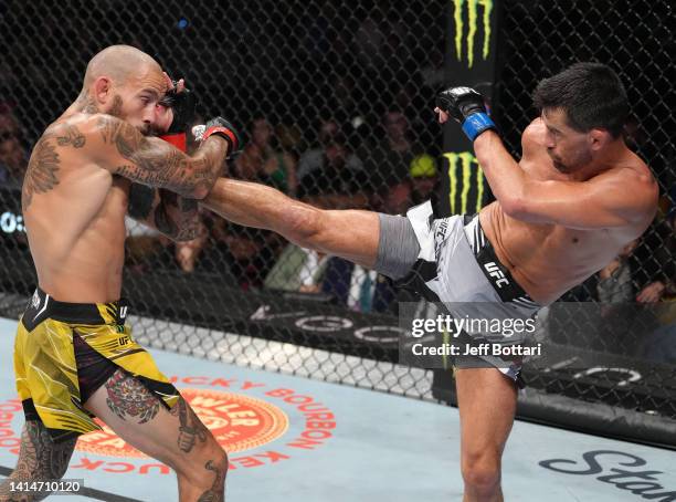 Dominick Cruz kicks Marlon Vera of Ecuador in a bantamweight fight during the UFC Fight Night event at Pechanga Arena on August 13, 2022 in San...