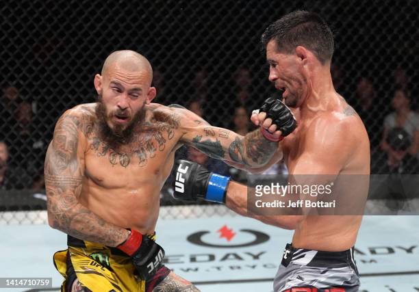 Marlon Vera of Ecuador punches Dominick Cruz in a bantamweight fight during the UFC Fight Night event at Pechanga Arena on August 13, 2022 in San...