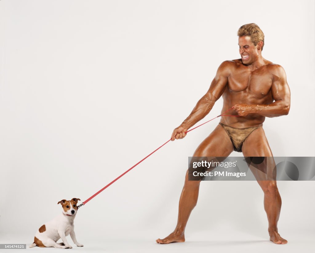 Body builder pulls little dog