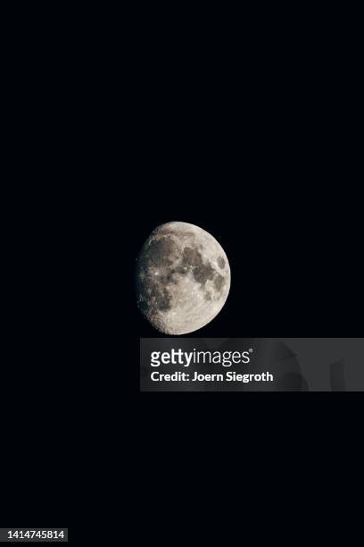 moon by night - flower moon stock pictures, royalty-free photos & images