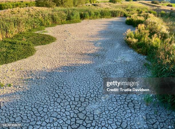 river bed in drought - dried fotografías e imágenes de stock