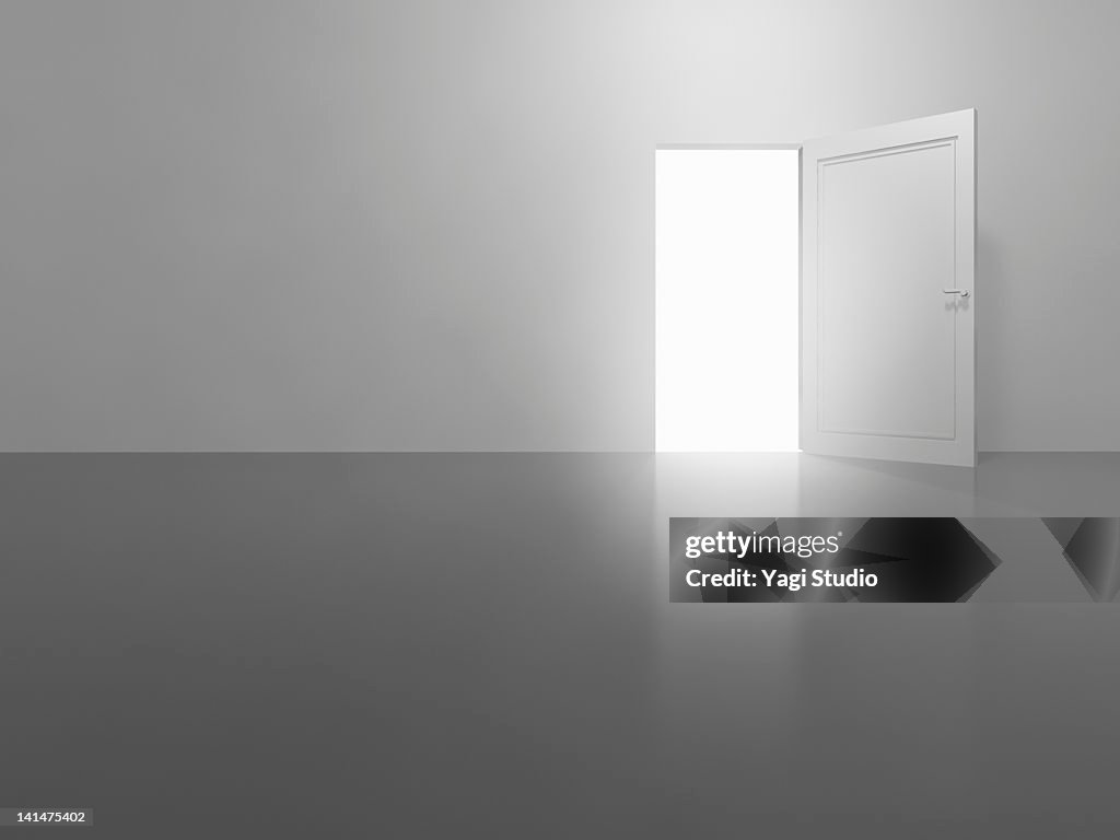 An open white door,CG