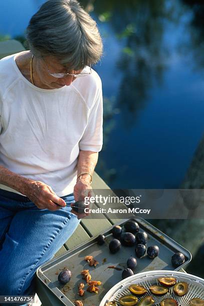 dry fruit - dry fruits stock pictures, royalty-free photos & images