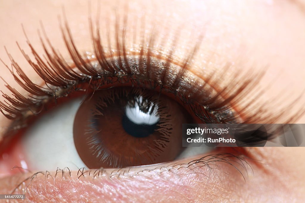 Woman's eye wearing false eyelashes,close-up