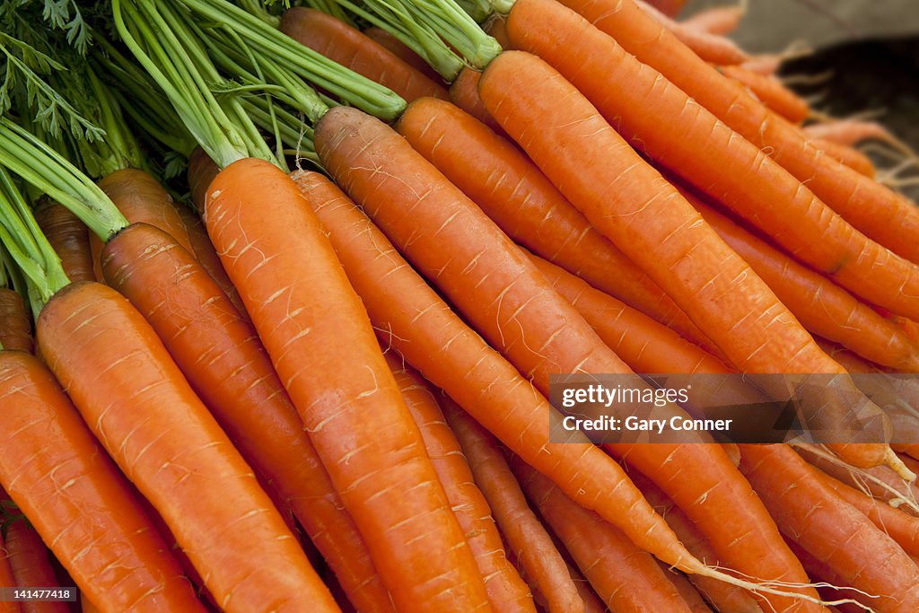 Carrots at farmers market in Colorado