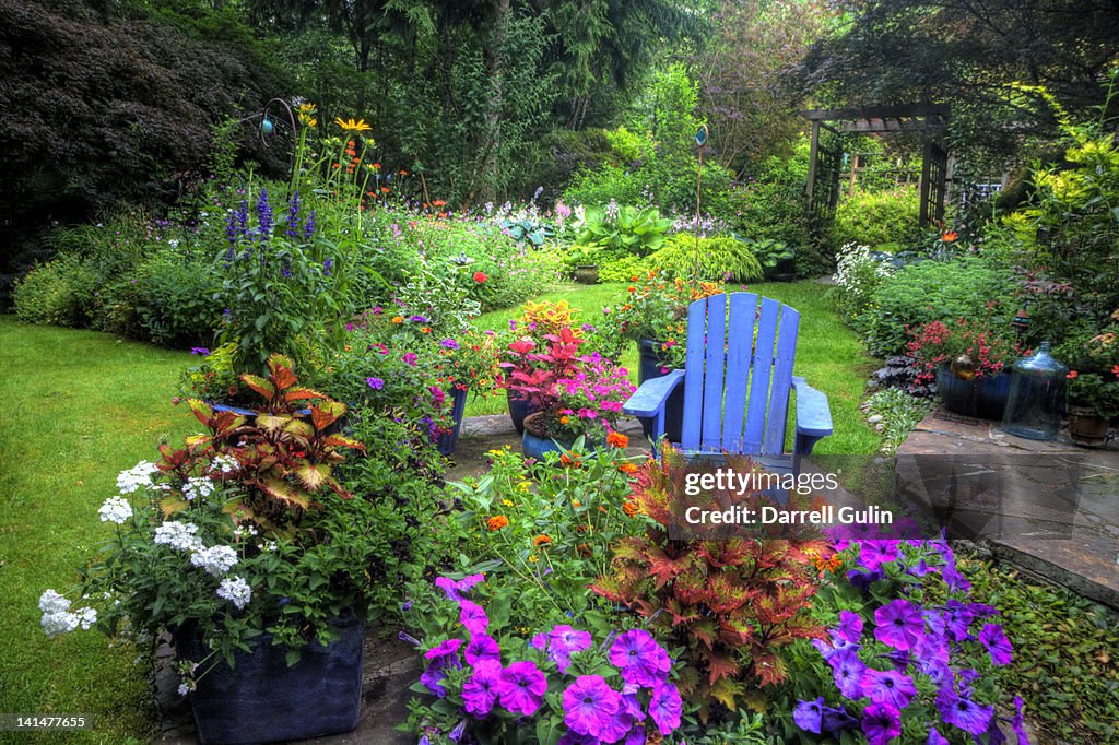 Garden and path, blue chair, colors of summer