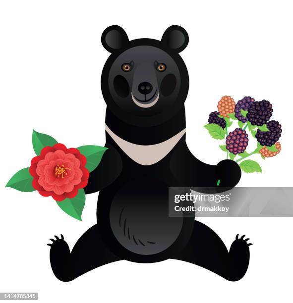 alabama black bear and camellia - black bear stock illustrations