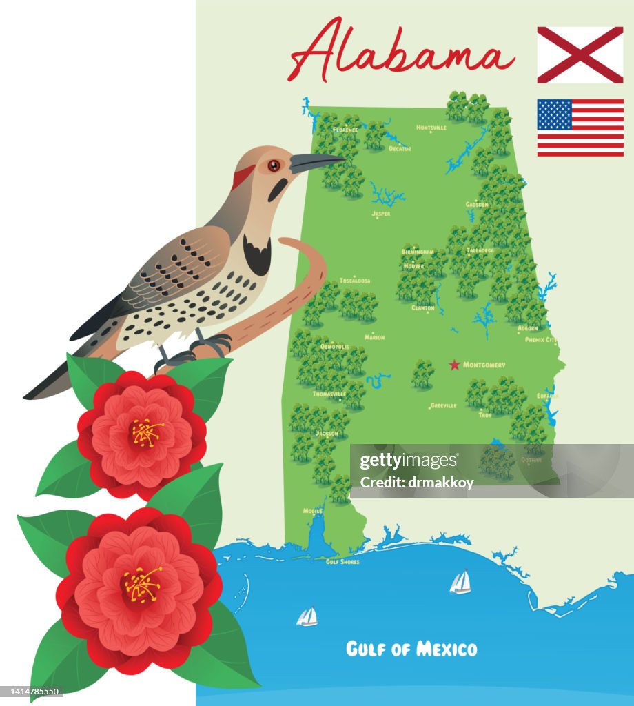 Northern flicker, Colaptes Auratus and Alabama