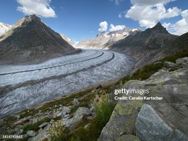 view of the aletsch glacier | switzerland - aletsch glacier stock pictures, royalty-free photos & images