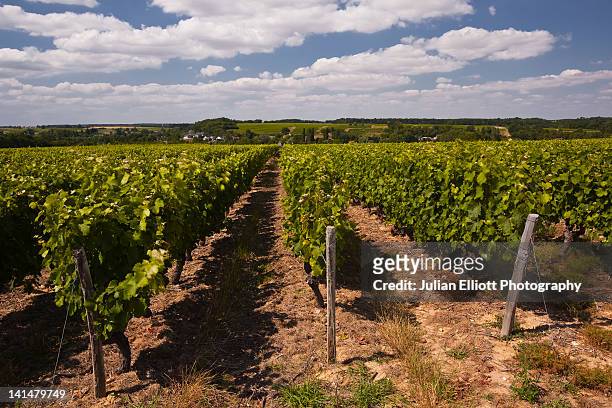 looking down the vineyards near vouvray. - indre et loire stock-fotos und bilder