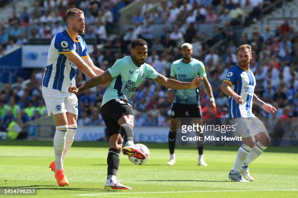 Callum Wilson of Newcastle United shoots under pressure from Adam Webster of Brighton & Hove Albion during the Premier League match between Brighton...