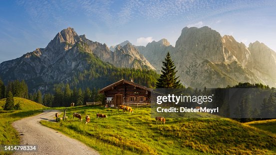 Paisaje idílico en los Alpes con chalet de montaña y vacas en primavera Paisaje idílico en los Alpes con chalet de montaña y vacas en primavera