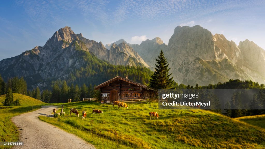 Paysage idyllique dans les Alpes avec chalet de montagne et vaches au printemps