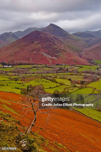looking down on the newlands valley from cat bells - vale de newlands imagens e fotografias de stock