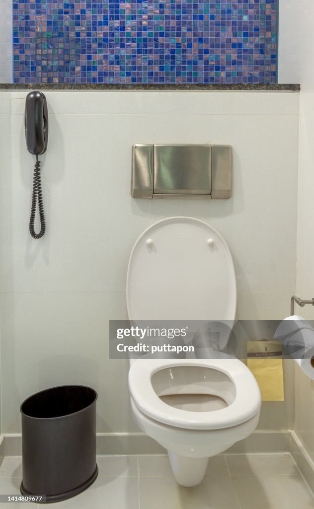 Modern Toilet Bowl In Bathroom
