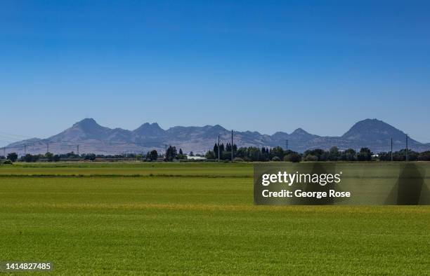 Sutter Buttes Sutter Buttes Photos and Premium High Res Pictures - Getty Images