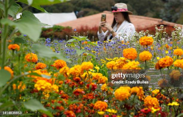 Woman takes a photo in the flower gardens of the corregimiento of Santa Elena on August 13, 2022 in Medellin, Colombia.