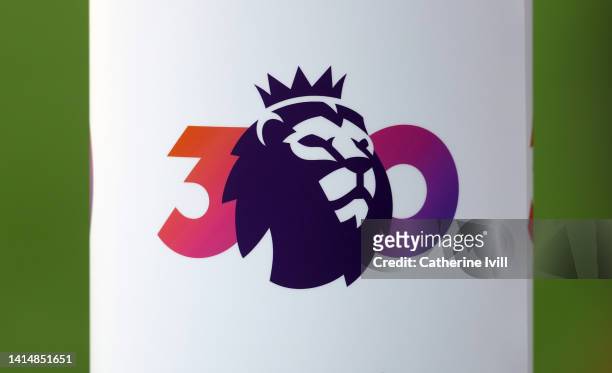Detailed view of The Premier League logo marking 30 years ahead of the Premier League match between Nottingham Forest and West Ham United at City...